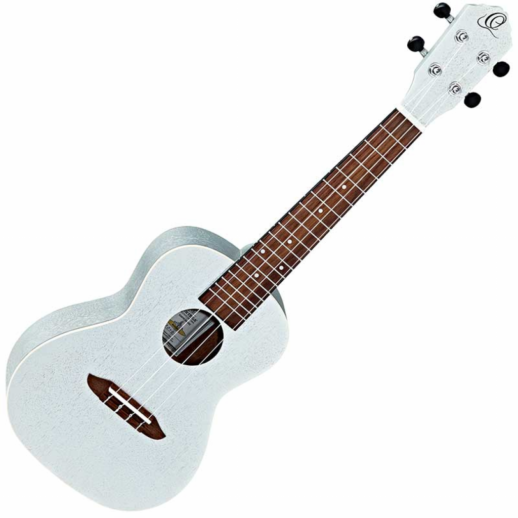 EARTH SERIES CONCERT SIZE UKULELE SILVER - RUSILVER